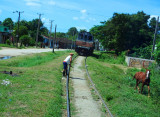 17 Views on the way to Holguin - whoops the horse bolted.jpg