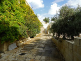 Inside the Old City of Jerusalem 28 Oct, 17