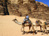 Camel train walking across the desert 4 Nov, 17