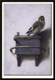 The Goldfinch, 1654