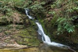 waterfall on Cane Creek 5