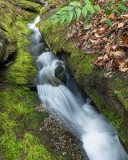 waterfall on Cane Creek 7