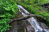 waterfall on tributary of Coppermine Creek 1