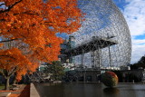 Fall Colours at Biosphere, 20 Oct 2018.JPG
