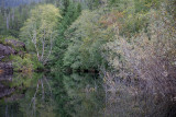 20171017_Gold Stream_0246.jpg
