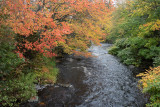 20181012_Hubbards Beach_0248.jpg