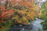 20181012_Hubbards Beach_0262.jpg