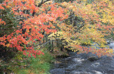 20181012_Hubbards Beach_0266.jpg