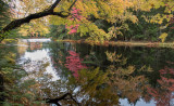 20181013_Kejimkujik_0192.jpg