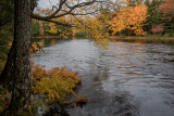 20181013_Kejimkujik_0206.jpg