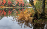20181013_Kejimkujik_0213.jpg