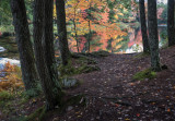 20181013_Kejimkujik_0235.jpg