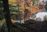 20181013_Kejimkujik_0237.jpg