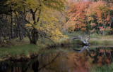 20181013_Kejimkujik_0262.jpg