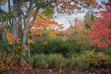 20181013_Lunenburg_0161.jpg