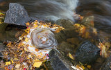 20181014_Cape Breton_0136.jpg