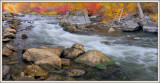 Autumn Provo River Stitch
