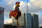 GALO DA MADRUGADA / RECIFE / PERNAMBUCO / BRASIL  IMG_8471.JPG