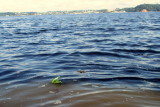 ENCONTRO DAS AQUAS IMG_5447.JPG