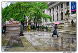 170525_Library steps in the rain.jpg
