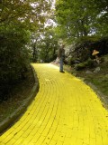 Mike on the Yellow Brick Road