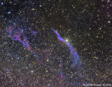 NGC 6960: The West Veil / Witchs Broom Nebula and Pickerings Triangle