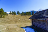 Buckelwiesen