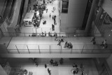 japan_2017