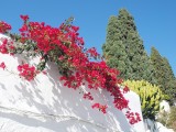 070_OMD10135.JPG