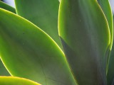 109_PC310883.JPG