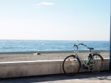 145_OMD10227.JPG