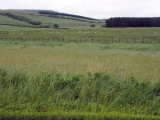 439_OM1A0068.JPG