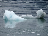 374_OM1B1007.JPG
