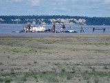 399_OM1A1445.JPG