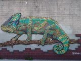 070_OM1B0255.JPG