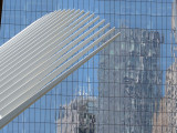 246_OM1A0499.JPG
