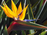 050_OM1A0160.JPG