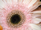 102_OM1A0416.JPG