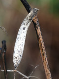 143_OM1A0615.JPG