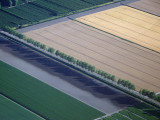 004_OM1A0060.JPG