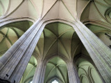 105_OM1B0607.JPG