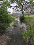 Creek in the East Hills