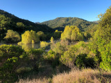 Almaden Reservoir at dawn