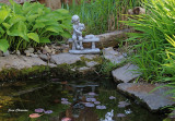 Calme jardin