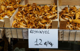 rossinyol-mushrooms-sk-fb.jpg