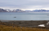 IMG_1571B.jpg