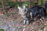 DSCF2772.jpg