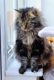 DSCF9371.jpg