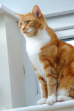 DSCF0015.jpg