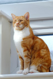 DSCF0017.jpg